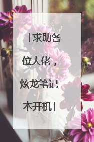 求助各位大佬,炫龙笔记本开机
