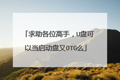 求助各位高手，U盘可以当启动盘又OTG么