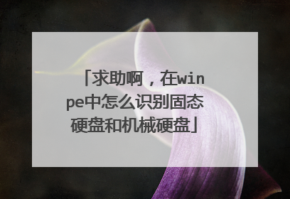 求助啊,在winpe中怎么识别固态硬盘和机械硬盘