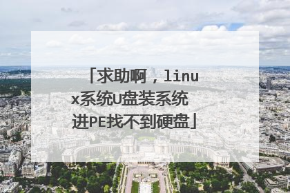 求助啊,linux系统U盘装系统 进PE找不到硬盘