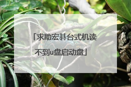 求助宏碁台式机读不到u盘启动盘
