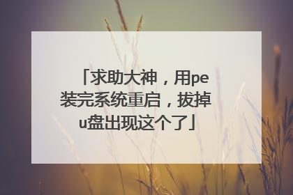 求助大神,用pe装完系统重启,拔掉u盘出现这个了