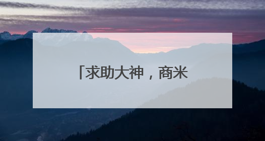 求助大神,商米T1定制系统怎么刷原版系统?