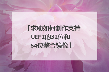 求助如何制作支持UEFI的32位和64位整合镜像