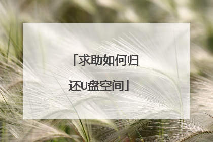 求助如何归还U盘空间