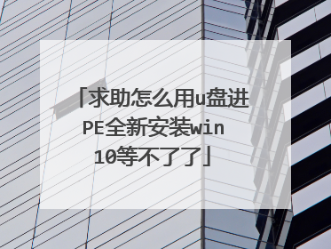 求助怎么用u盘进PE全新安装win10等不了了