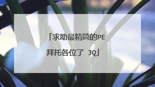 求助最精简的PE拜托各位了 3Q