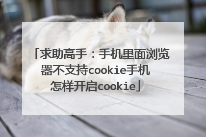 求助高手:手机里面浏览器不支持cookie手机怎样开启cookie