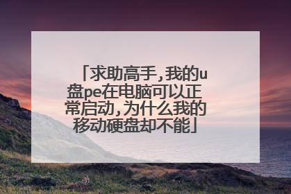 求助高手,我的u盘pe在电脑可以正常启动,为什么我的移动硬盘却不能