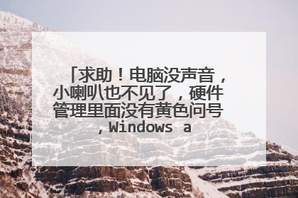 求助!电脑没声音,小喇叭也不见了,硬件管理里面没有黄色问号,Windows audio自动开启中,请指点一下~谢~