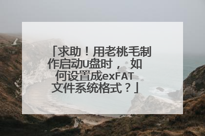 求助!用老桃毛制作启动U盘时, 如何设置成exFAT文件系统格式?