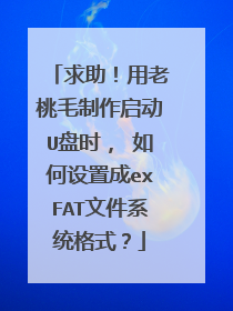求助！用老桃毛制作启动U盘时， 如何设置成exFAT文件系统格式？