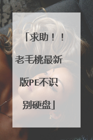 求助!!老毛桃最新版PE不识别硬盘