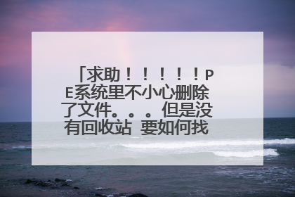 求助!!!!!PE系统里不小心删除了文件。。。但是没有回收站 要如何找回啊!!!!!