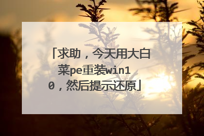 求助，今天用大白菜pe重装win10，然后提示还原
