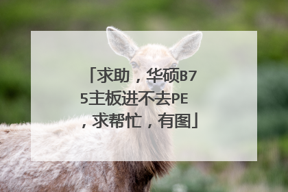 求助,华硕B75主板进不去PE,求帮忙,有图