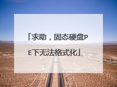 求助，固态硬盘PE下无法格式化