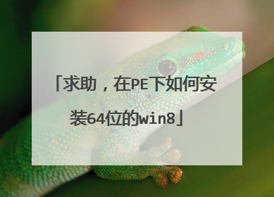 求助,在PE下如何安装64位的win8