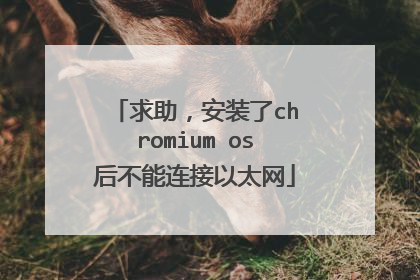求助,安装了chromium os后不能连接以太网
