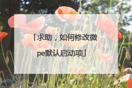 求助,如何修改微pe默认启动项