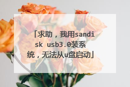 求助，我用sandisk usb3.0装系统，无法从u盘启动