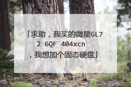 求助,我买的微星GL72 6QF 404xcn,我想加个固态硬盘