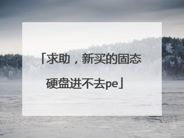 求助,新买的固态硬盘进不去pe