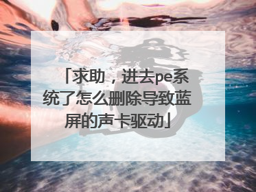 求助,进去pe系统了怎么删除导致蓝屏的声卡驱动