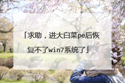 求助,进大白菜pe后恢复不了win7系统了