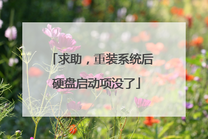求助,重装系统后硬盘启动项没了