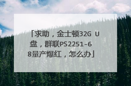 求助,金士顿32G U盘,群联PS2251-68量产爆红,怎么办