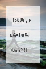 求助，PE会中U盘病毒吗
