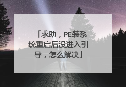求助,PE装系统重启后没进入引导,怎么解决