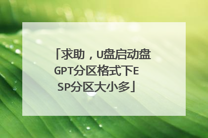 求助,U盘启动盘GPT分区格式下ESP分区大小多