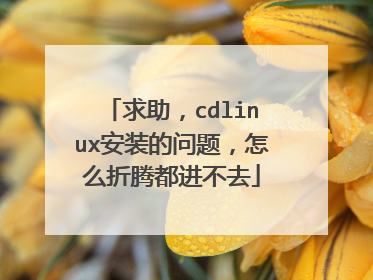 求助,cdlinux安装的问题,怎么折腾都进不去