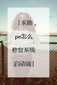 求助，pe怎么修复系统启动项