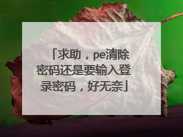 求助，pe清除密码还是要输入登录密码，好无奈