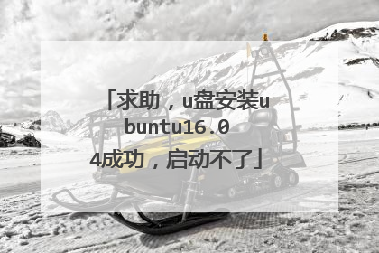 求助，u盘安装ubuntu16.04成功，启动不了