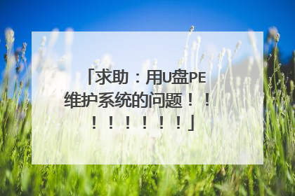 求助:用U盘PE维护系统的问题!!!!!!!!