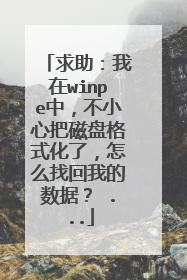 求助:我在winpe中,不小心把磁盘格式化了,怎么找回我的数据? ...
