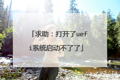 求助：打开了uefi系统启动不了了