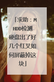 求助:MHDD检测硬盘出了好几个红叉如何屏蔽掉这块
