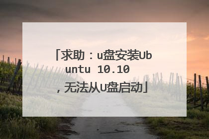 求助:u盘安装Ubuntu 10.10 ,无法从U盘启动