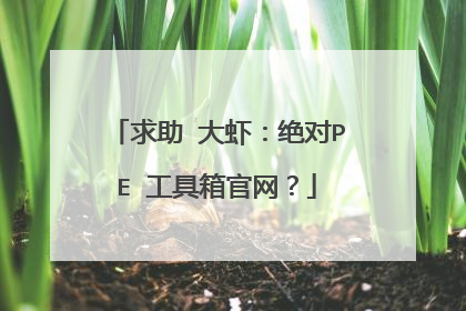 求助 大虾:绝对PE 工具箱官网?