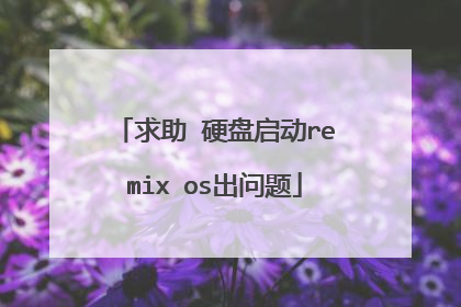 求助 硬盘启动remix os出问题