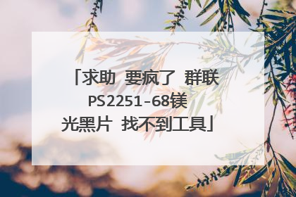 求助 要疯了 群联PS2251-68镁光黑片 找不到工具