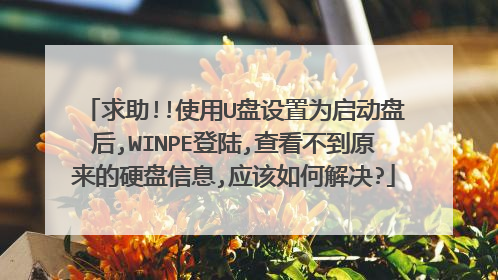 求助!!使用U盘设置为启动盘后,WINPE登陆,查看不到原来的硬盘信息,应该如何解决?