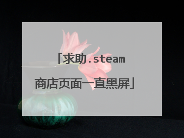 求助.steam商店页面一直黑屏