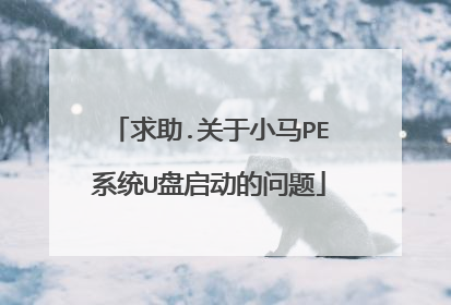 求助.关于小马PE系统U盘启动的问题