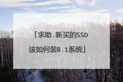 求助.新买的SSD该如何装8.1系统